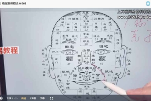 陈春林 杨淑滟九纬洪运|梅花神相断陪跑班视频20集 百度云下载!