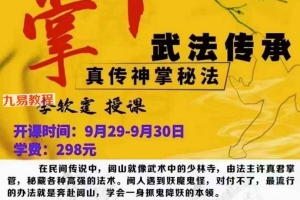 李钦霆真传神掌（正统真传神掌中法，100道掌法）视频2集 百度云下载！