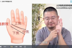 陈星  全息手诊学通讲 视频+资料pdf 百度云下载!
