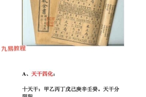 令东来紫微斗数星情课件(全套).pdf 197页 百度云下载!