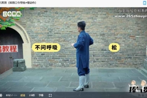 不老青松功(九式吐纳法)武当极品,内养之珍●岳武亲传 视频26集 百度云下载!