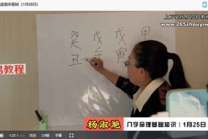 陈春林九纬洪运|八字命理陪跑训练营视频19集 百度云下载!