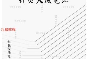 针灸大成笔记pdf 67页 根据倪海厦老师视频整理 百度云下载！