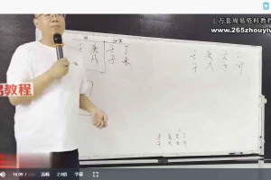 崔文举催老师甲辰年八字面授视频8集 百度云下载!
