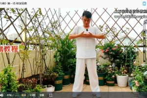 谭健康 道家养生功法《疏通六绝》视频21集 百度云下载！