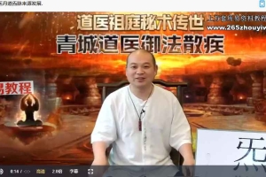 郭东滔 道医炁脉疗法高级班视频127集 百度云下载!