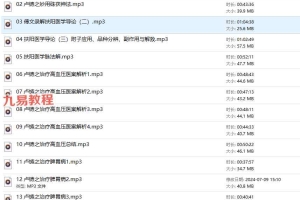 傅文录 卢铸之医案解析系列讲座录音28集+资料pdf 百度云下载！
