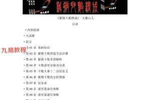 大德山人-紫微斗数精成.pdf 983页 百度云下载！