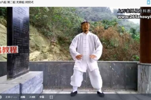 许微含道长八套功法课程视频合集 百度云下载!