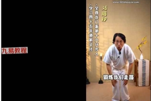 刘圆印老师《九阳长生功法课》视频课程42集 百度云下载!