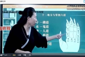 张敬平一掌经12集视频 百度云下载!