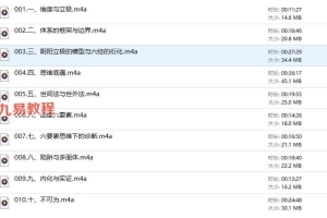 阴阳立极高阶课程录音十讲 百度云下载！