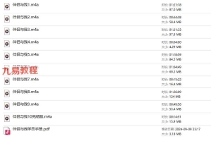 B伴侣与我疗愈课程录音+资料PDF 百度云下载!