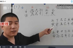 戊辰老师《八字案例初中高》加《八字大运流年流月案例》152集视频 百度云下载！