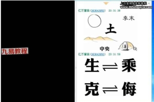 易言易学梅花外应合集 易理梅花占卜+外应预测合集视频17集 百度云下载!