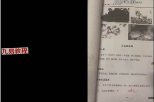 金门十六局视频13集 百度云下载!