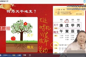 何咏慧-四柱八字算法实战课 全60讲视频 百度云下载!