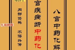 《八宫疾病断中药化解、中药化解中药化解家宅不安》–原版(3000元).pdf 百度云下载