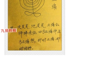 三雷道人 治病秘法pdf 9页 百度云下载！