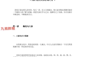 癸水酉金《教你学梅花预测》+梅花风水预测 2册电子版 百度云下载!