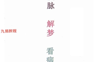 大神摸脉+解梦+断病三合一pdf 百度云下载！
