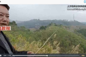 中郡文化 易学风水初级课程视频21集 百度云下载!