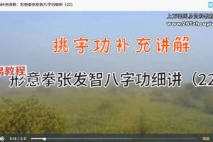 张发智八字功细讲视频28集 百度云下载!