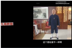 【FSD】道家养生功法 凡师丹 老八掌筑基功九式 全9讲视频课 百度云下载！
