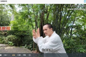 心意六合基础母拳课程（视频课）13集 百度云下载！