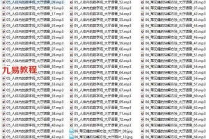 八卦象数疗法高阶课程+汉字疗法高阶课程录音 百度云下载！