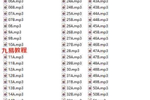 许铨仁：紫微斗数自化班（绝密）录音 百度云下载！