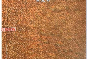 北派地理学.pdf  418p 百度云下载!