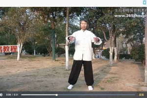 内家功筑基升级版31集视频 霹雳手老顽童 百度云下载！