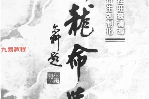 渊龙命学(陈宝良上下册)pdf 百度云下载!