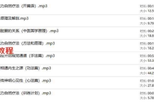 【开启慧眼系列课】好视力自然疗法，开启健康明亮的世界 录音 百度云下载！