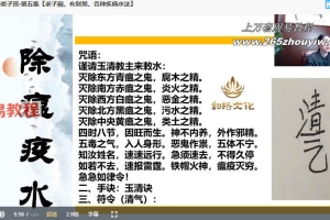 2023最新《和络文化九合老师隔空疗法道法弟子班》视频9集