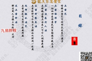 龙昊宗五雷针法课程视频一集+法本pdf 百度云下载！