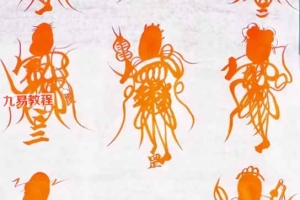 江南八仙符秘一宗课程视频11集+资料pdf 百度云下载!