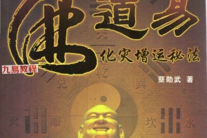 佛道易化灾增运秘法PDF电子书 207页 百度云下载！