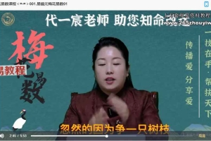 易熵元梅花易数课程视频79集 百度云下载!