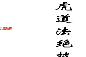 龙虎道法绝技.pdf 93页 百度云下载！