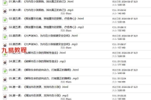 【内在小孩系列课程】疗愈内在小孩一阶:传授实修疗愈法,张继舫导师讲授录音 百度云