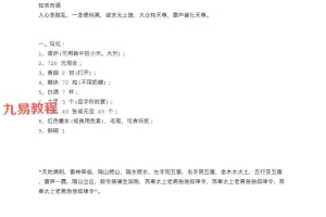 皓月五雷法五雷掌功法修炼调理程序视频+资料 百度云