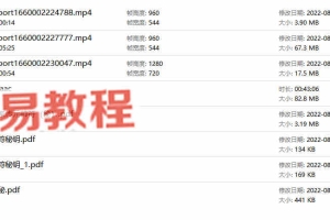 天师府家传元帅符（紫宸）3个视频+录音+文档 百度云下载！