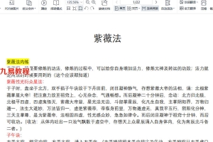 王法灵，紫薇法（雨渐耳）道家隐秘秘法 资料+图片+视频 百度云下载！