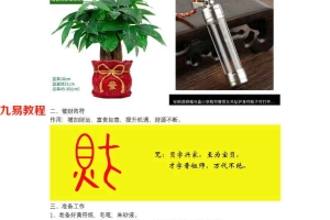 法渊《如意门聚财阵秘法》文字+录音 百度云下载!