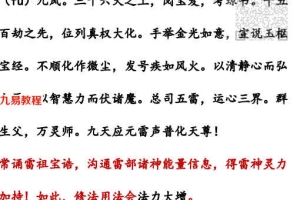 2022年元医雷法（传承初级班）视频+文字资料pdf 百度云
