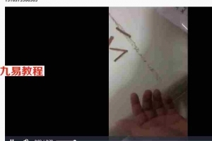 茅山秘传五雷神掌打邪法教程 视频+图片 百度云下载！