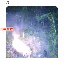 民间金刀玉剪法，此法常用于驱邪斗法，四个号令一句咒，效果立竿见影！