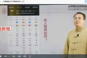 袁燊  命运规律学:灾难案例分析视频9集 百度云下载!